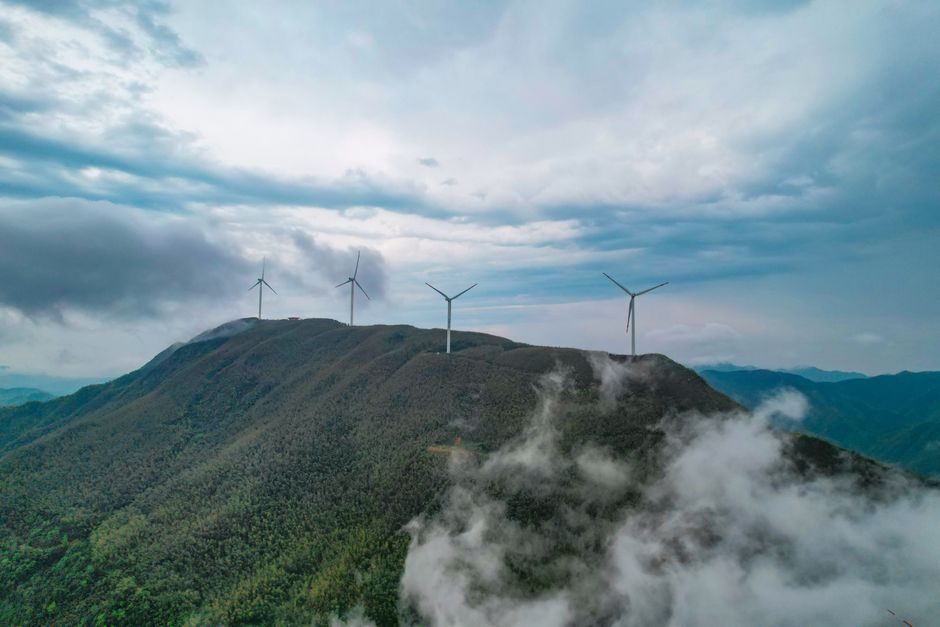 Carbon-Neutral AI Certification: The New Gold Standard in Sustainable Technology