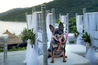 在海边的户外婚礼场地上，一只可爱的吉娃娃狗坐在装饰椅上