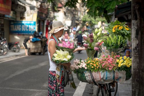 Free A street vendor sells vibrant bouquets from a bicycle in an urban setting. Stock Photo