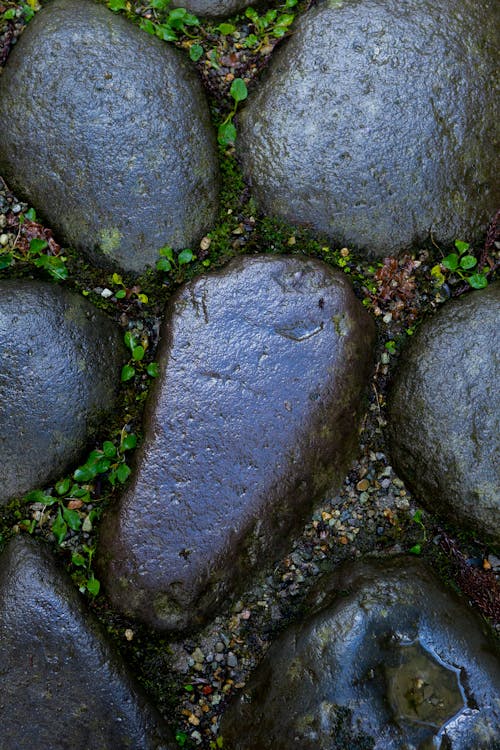 doğa, doku, taşlar içeren Ücretsiz stok fotoğraf
