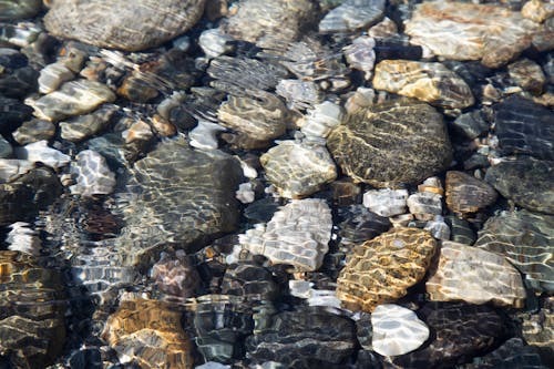 Gratis stockfoto met h2o, rivier, steen