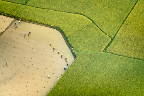 Free Green Field Aerial Photography Stock Photo