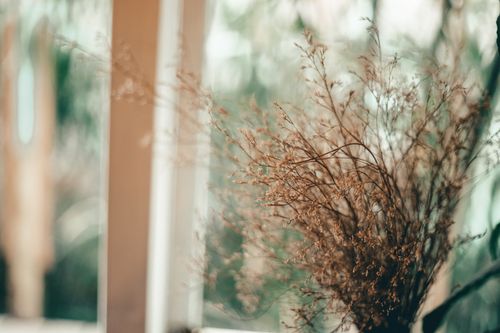 Free Delicate floral arrangement in soft focus, capturing natural beauty indoors with warm tones. Stock Photo