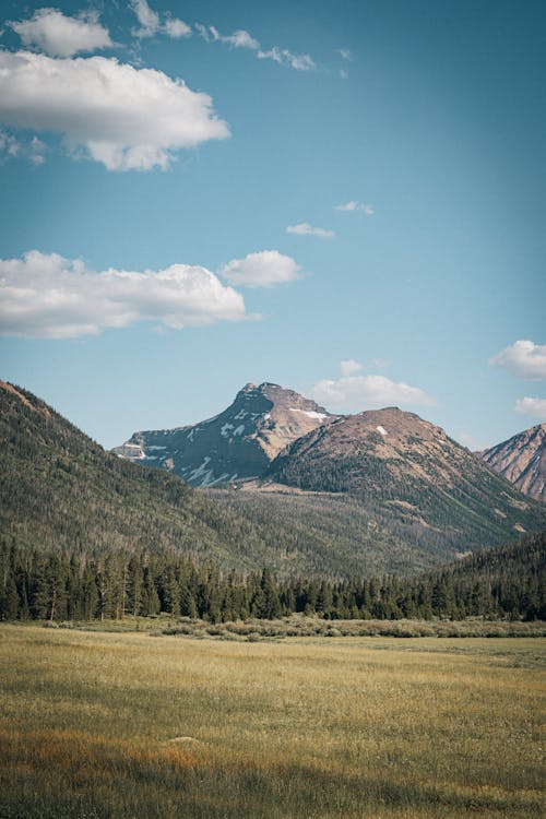 A mountain range with a green grassy field