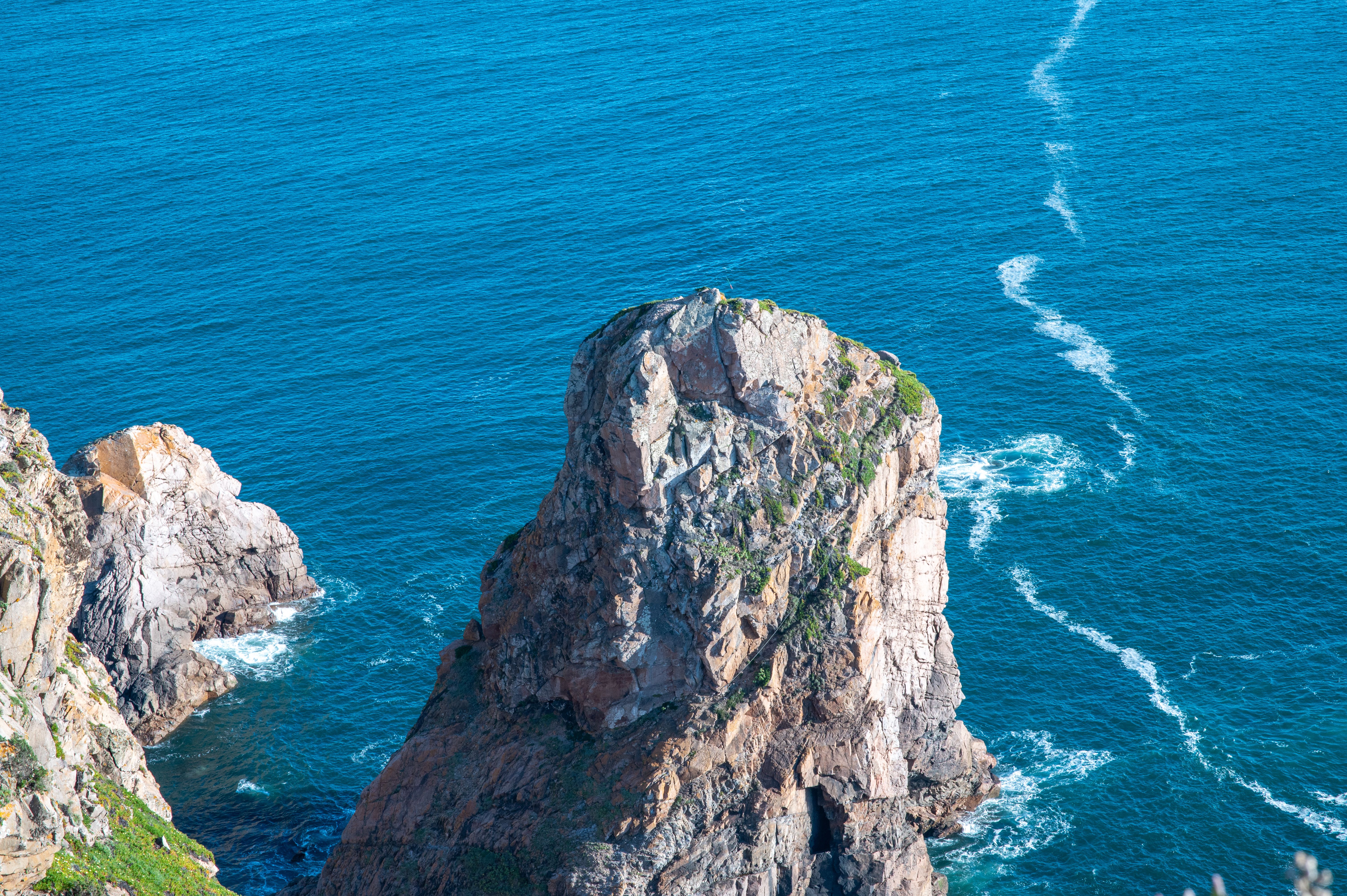 Giant Bears of Ancient Portugal Shrunk Over Millennia, Possibly Due to Human Influence