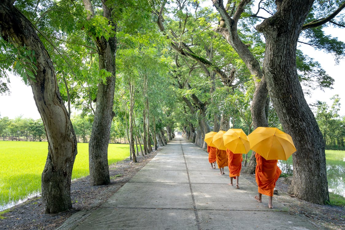 Free Monks Holding Umbrella Walking on Pathway Stock Photo