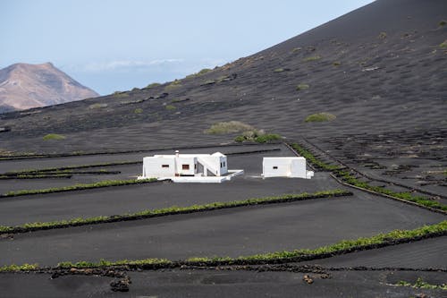A white house sits on a black volcanic field