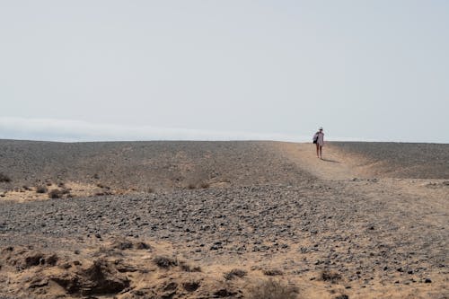 A person walking on a dirt road in the desert