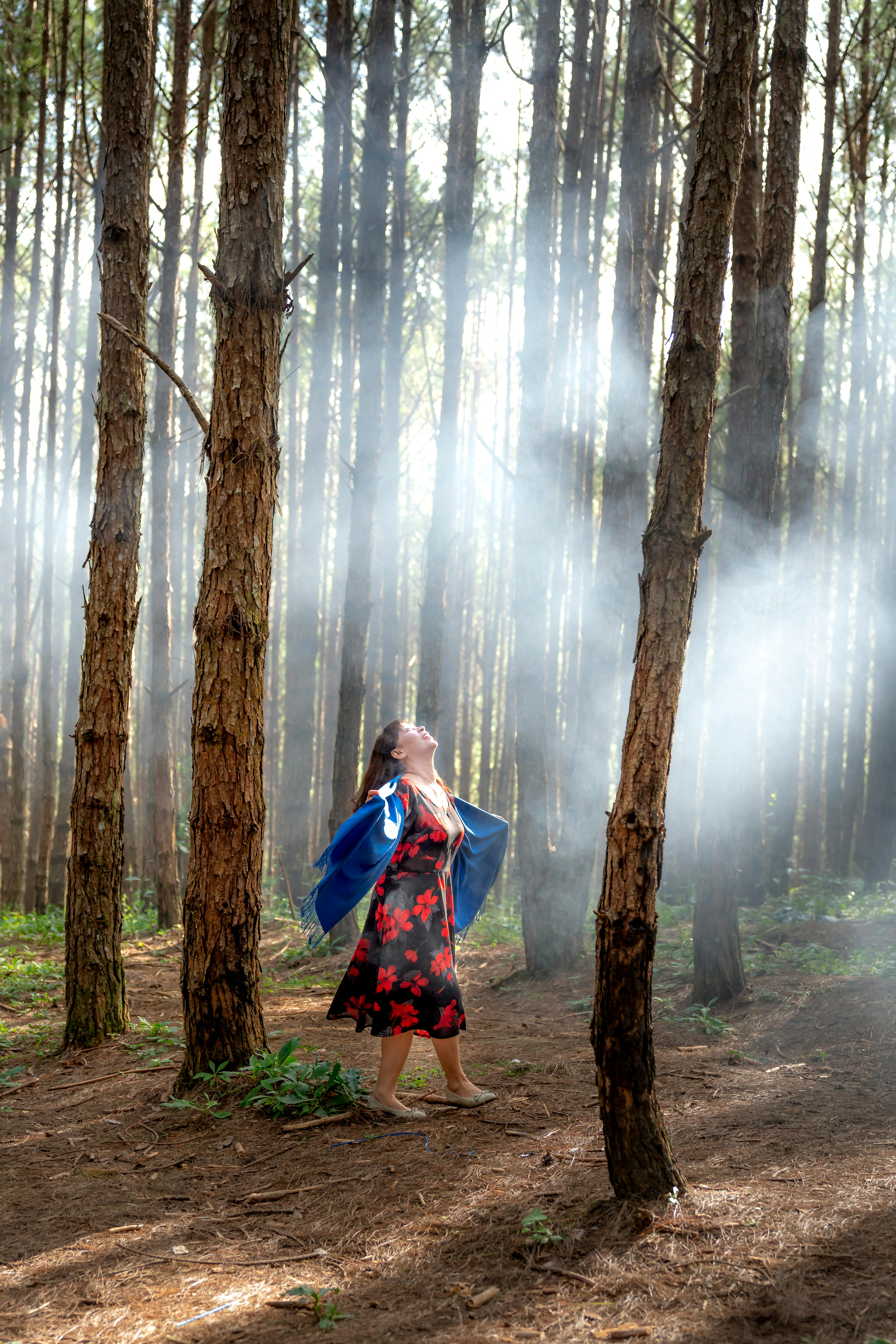 云雾缭绕的森林中，一位身着鲜艳连衣裙的女子正拥抱大自然