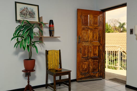 A charming room interior featuring a rustic wooden door, houseplant, and classic decor, revealing an outdoor view.