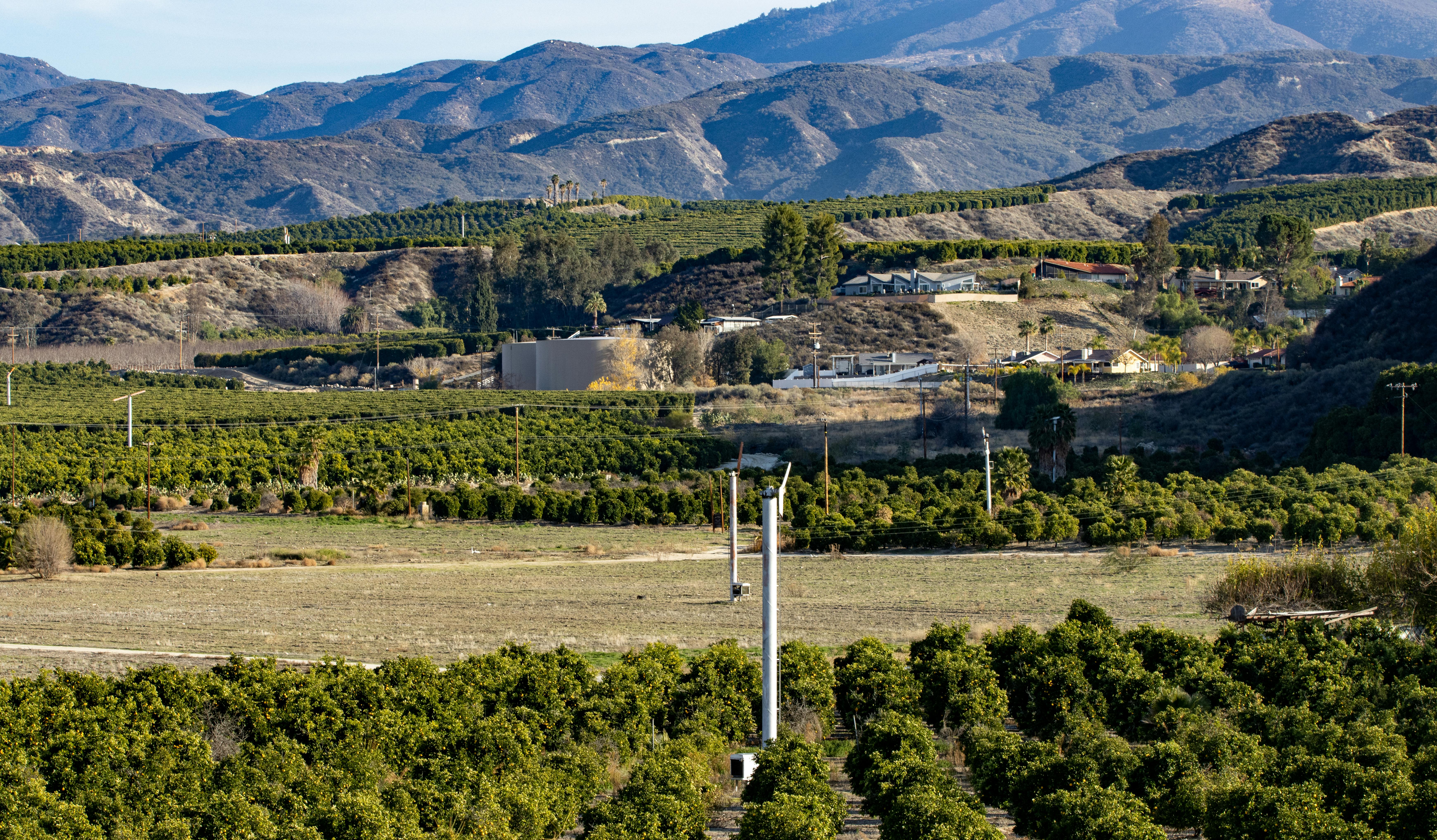Array Technologies, Inc. (ARRY) Suffers a Larger Drop Than the General Market: Key Insights — Photo by Ira Bowman on Pexels