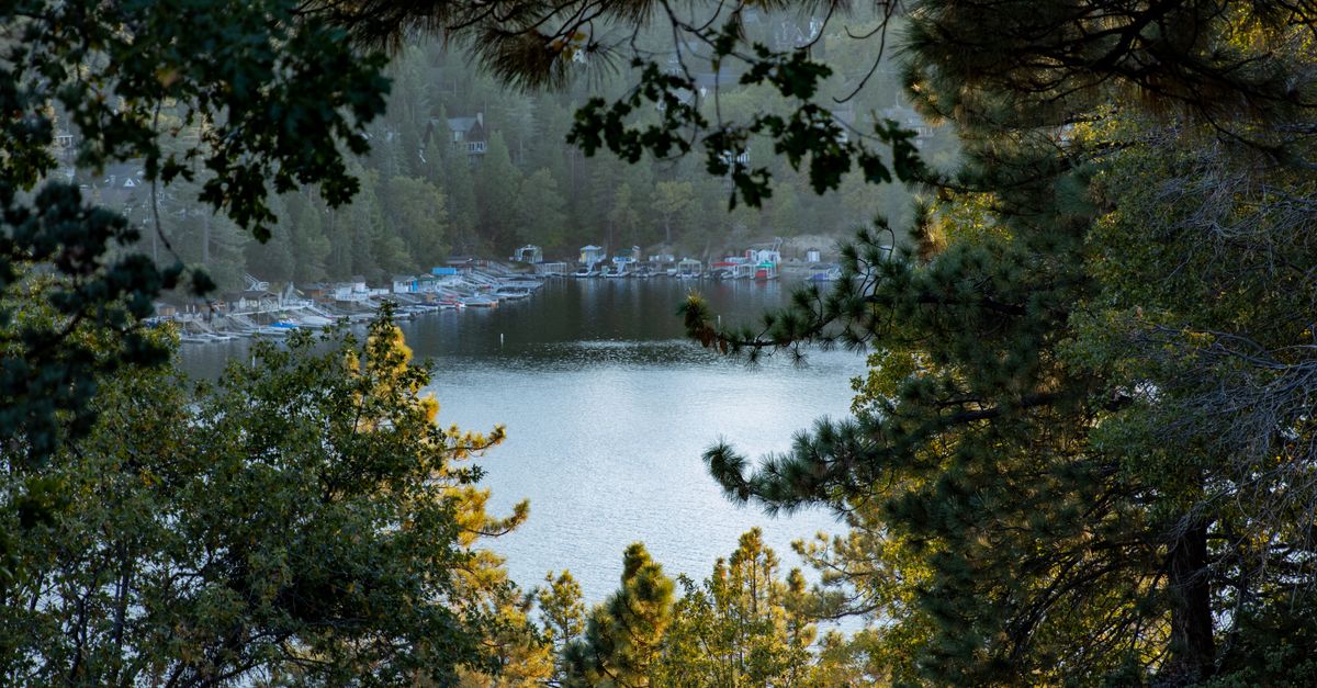 Serene view of Lake Arrowhead, California framed by lush green trees under daylight.