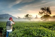 薄雾笼罩的农田上，有人正在拍摄日出，远处可见寺庙和山脉