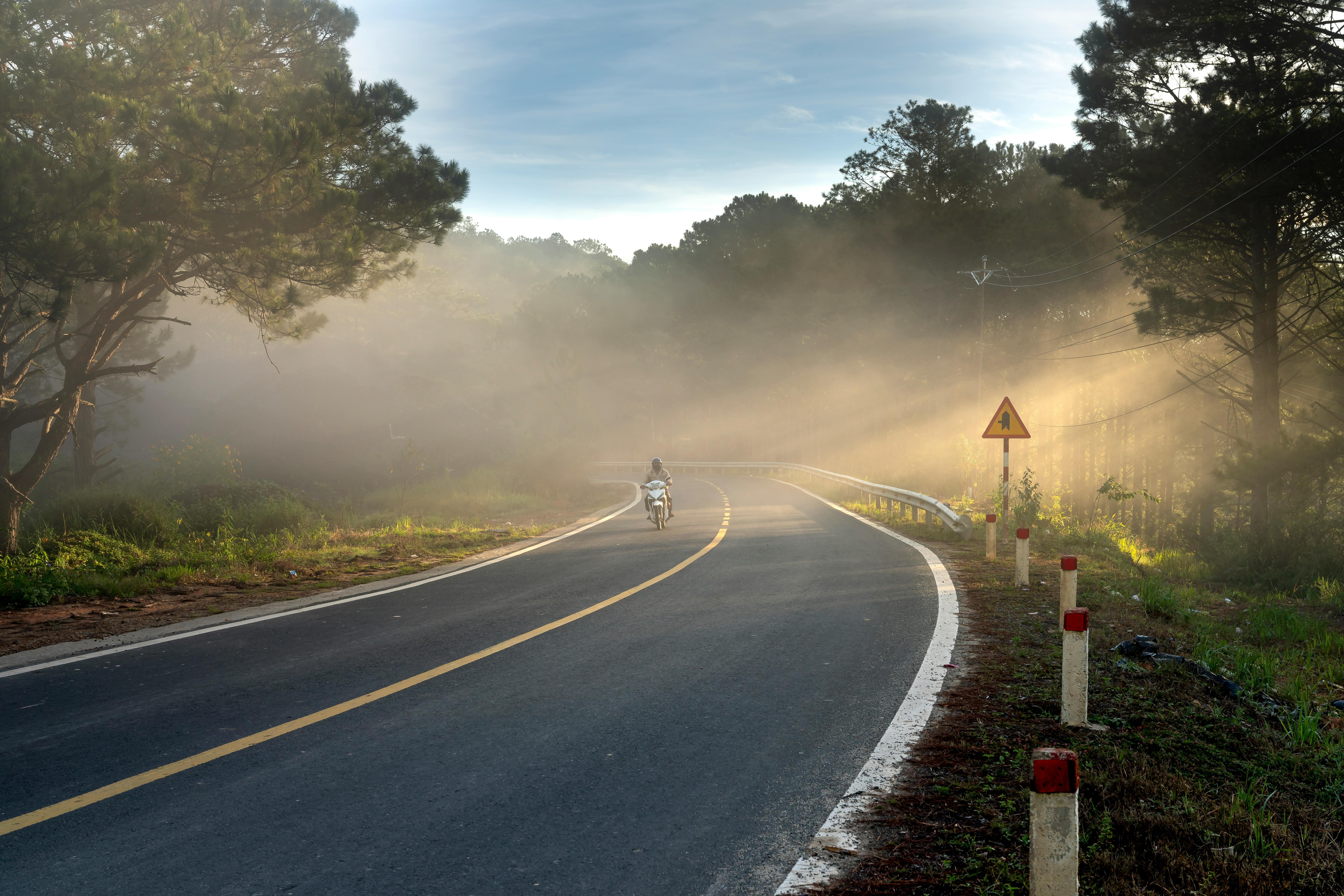 黎明时分，一名孤独的骑手穿过宁静的森林，在雾蒙蒙的高速公路上蜿蜒前行