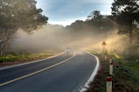 黎明时分，一名孤独的骑手穿过宁静的森林，在雾蒙蒙的高速公路上蜿蜒前行