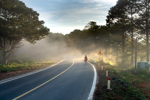 бесплатная Человек идет по туманной дороге Стоковое фото