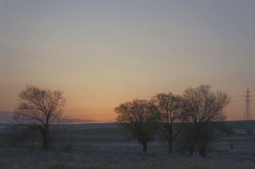 Free stock photo of afterglow, bare trees, beautiful sunset