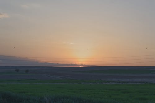 Free stock photo of afterglow, beautiful sunset, blade of grass