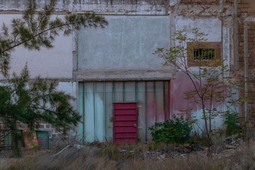Free A textured abandoned building in San Luis Potosí featuring a red door amidst overgrown vegetation. Stock Photo