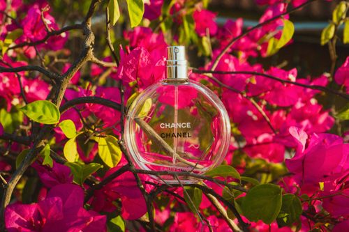 Free Chanel perfume bottle elegantly nestled among vibrant bougainvillea flowers, showcasing luxury and nature. Stock Photo
