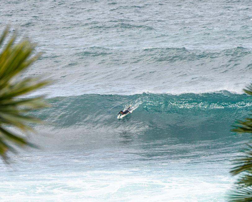 A lone surfer rides a big wave under clear skies, framed by green foliage.