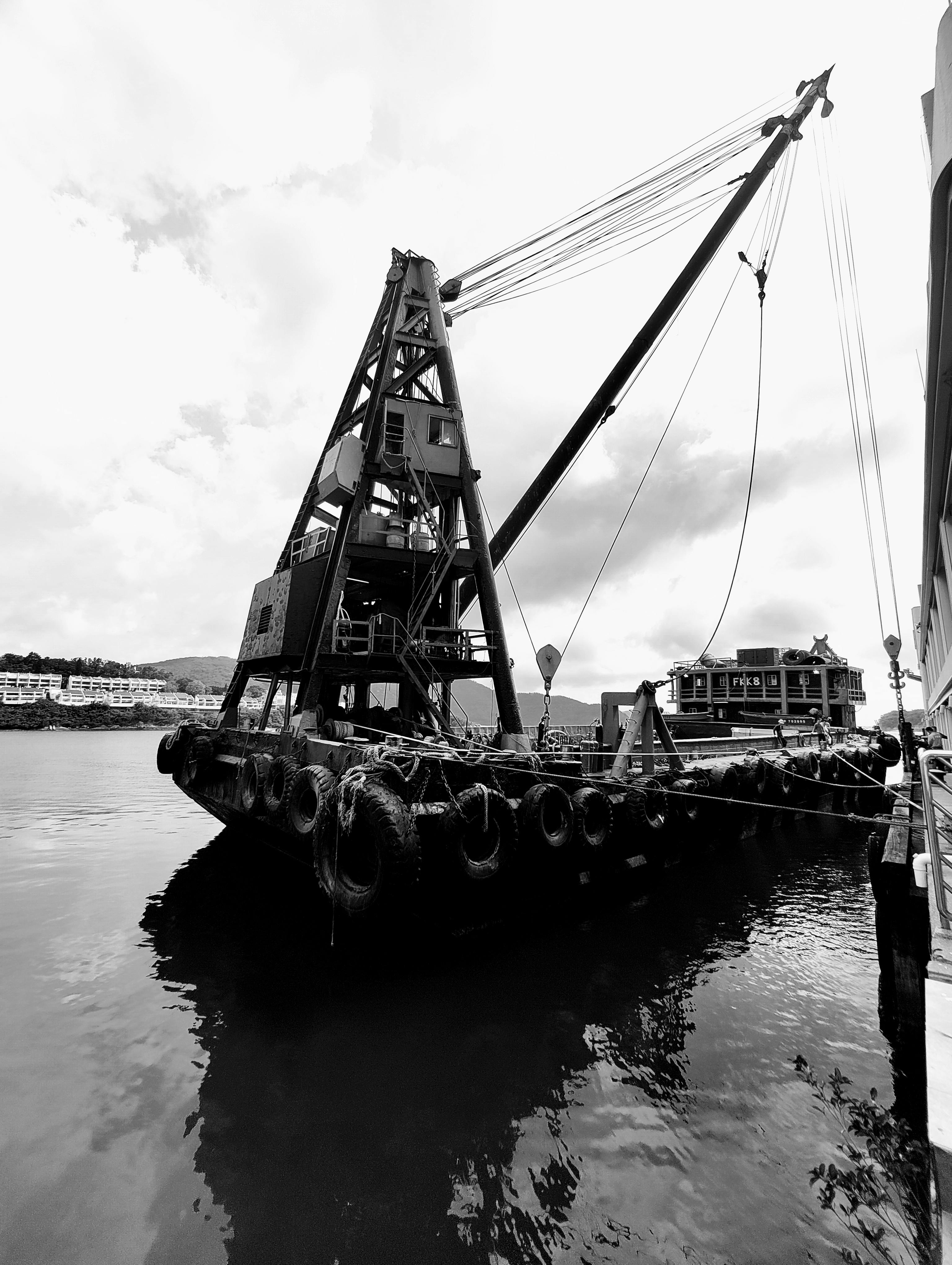 David Lomax Photography