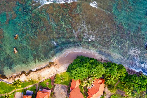 Houses Near Beach