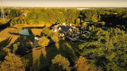 Drone Shot Over Trees