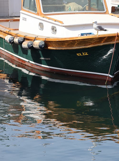 Ingyenes stockfotó amatőr fényképezés, hajóm csónak, mohammad ghelichi témában