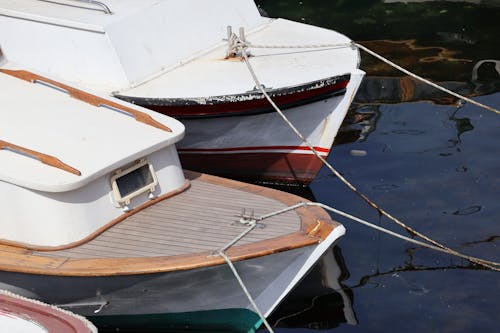 Ingyenes stockfotó amatőr fényképezés, evezős csónak, fa témában
