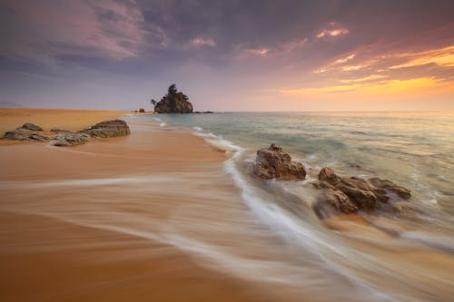 Ücretsiz Altın Saatte Plaj Stok Fotoğraflar
