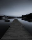 黎明时分，木制码头延伸至雾湖中，呈现出一片宁静的黑白景象