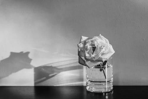 A black and white photo of a rose in a vase