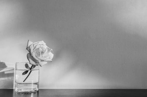 A single rose in a glass vase on a table