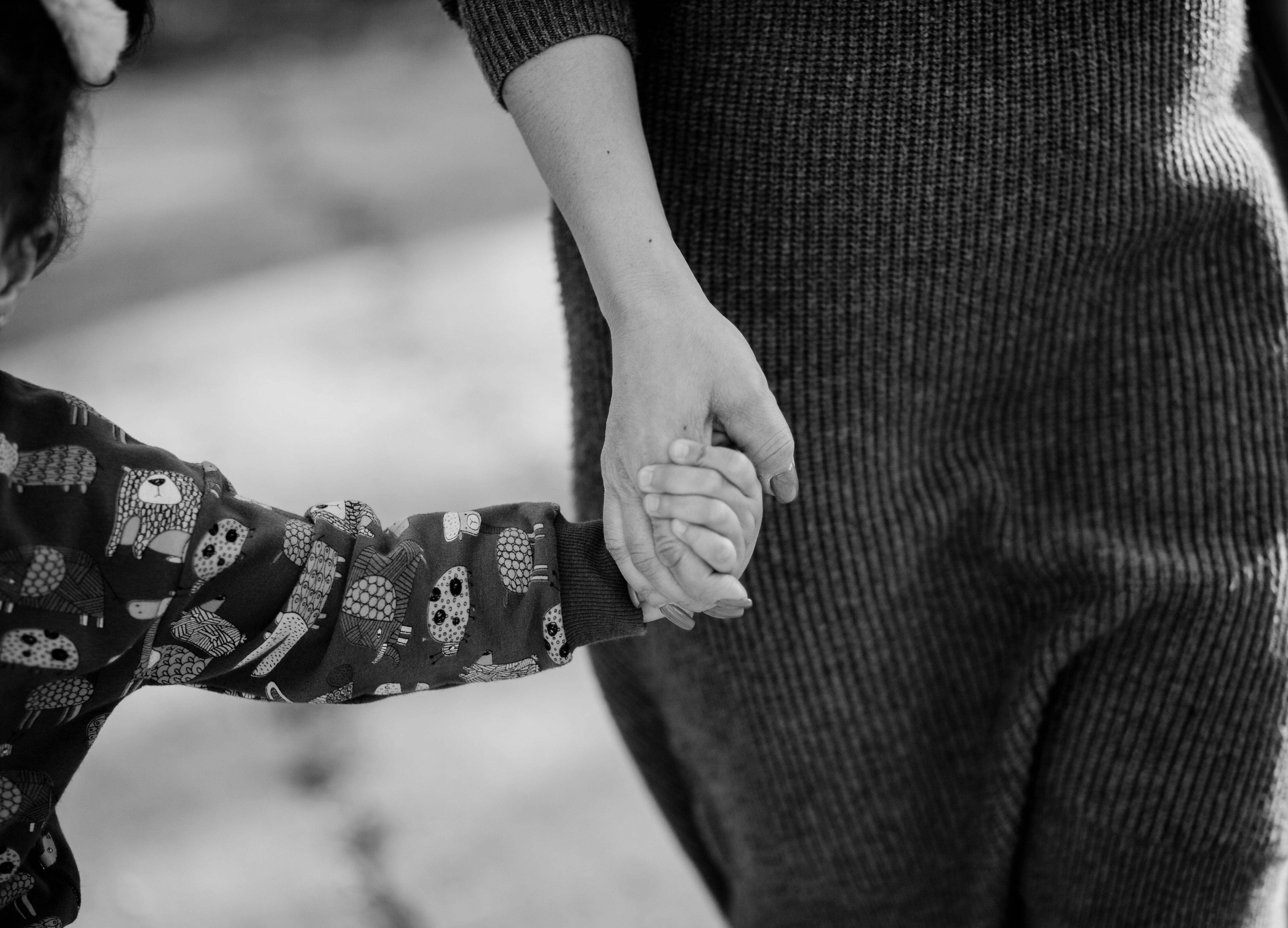 family law, child custody, alimony, legal separation, prenuptial agreements, divorce and family law, divorce law — Photo by N