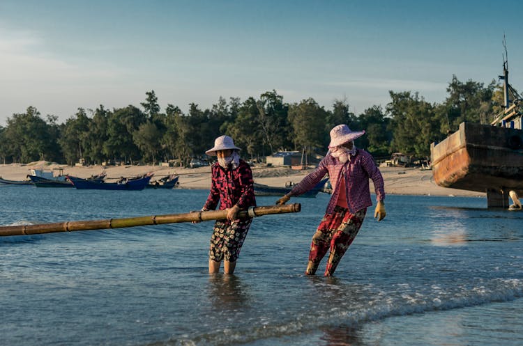 Men Pulling Bamboo On Water