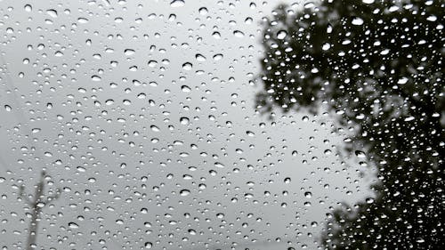 Fotobanka s bezplatnými fotkami na tému čierny a biely, dážď, daždivý