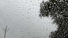 窗玻璃上雨滴景色迷人，背景中模糊的树木营造出宁静的氛围