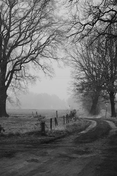 A black and white photo of a country road