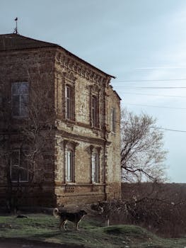A rustic stone building with a dog in a tranquil rural setting, capturing the essence of countryside life.