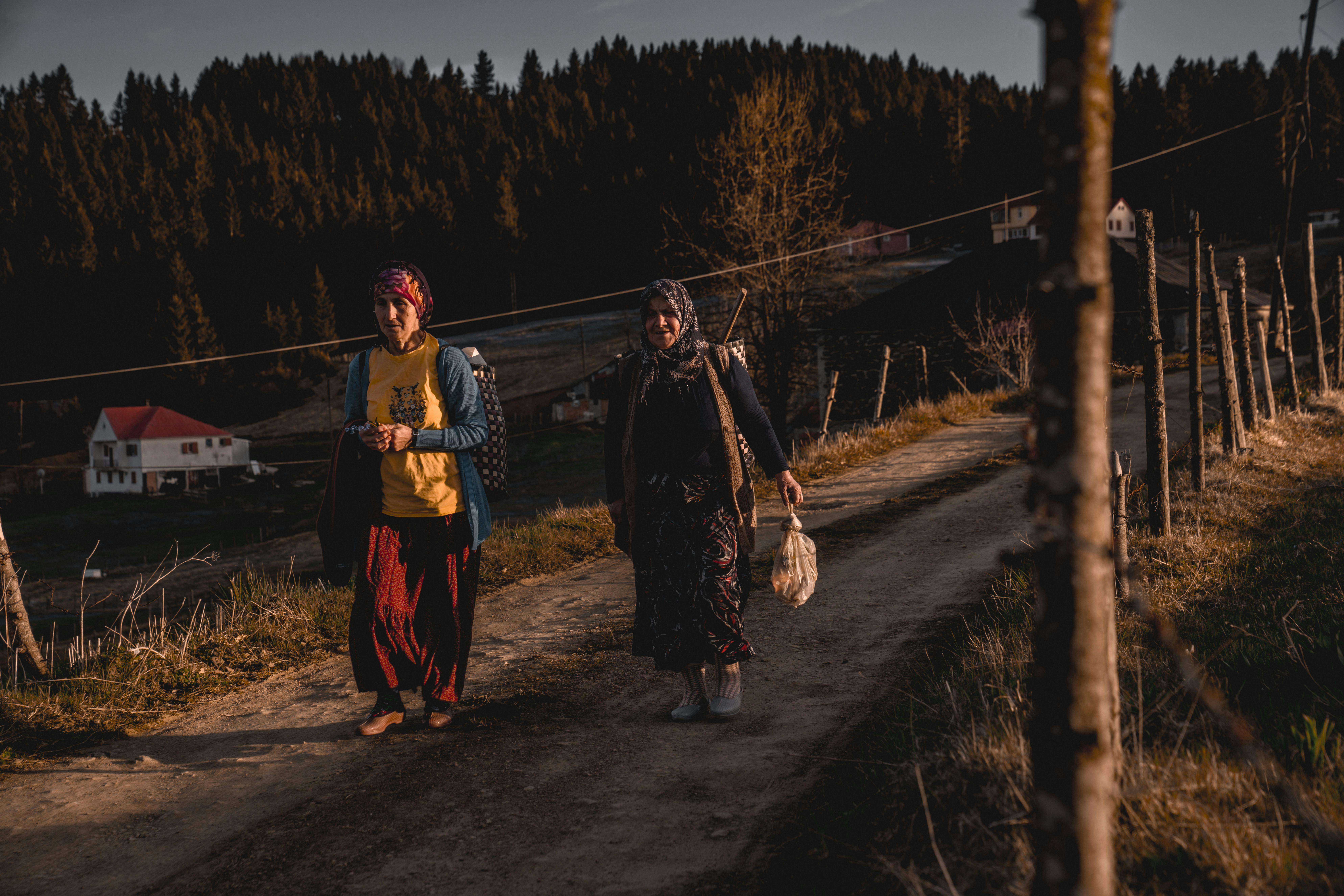 Communal Gathering At Sunset