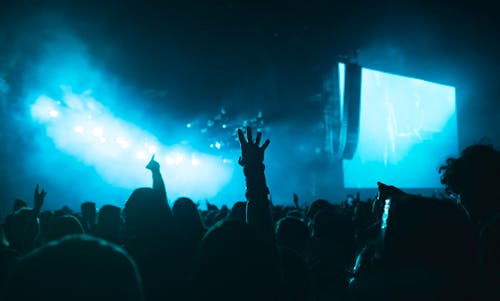 Crowd at Concert at Night