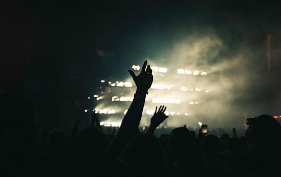Silhouettes in concert crowd with raised hands against dramatic stage lights.