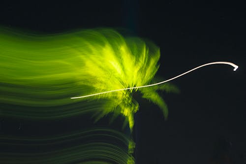 çizgi, gece, Palmiye içeren Ücretsiz stok fotoğraf