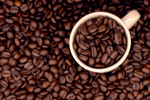 Free stock photo of coffee, coffee cups
