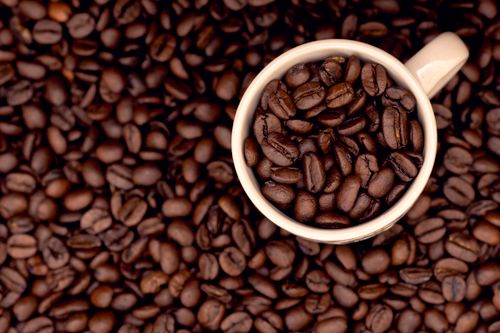 Free stock photo of coffee, coffee cups Stock Photo