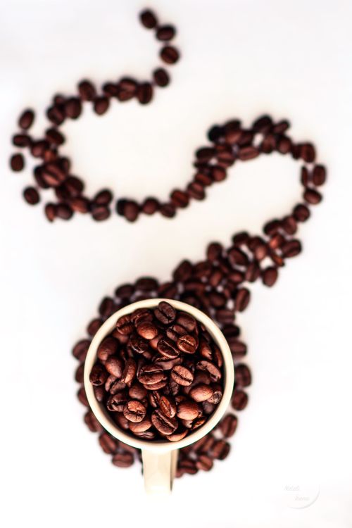 Free stock photo of coffee, coffee beans, coffee cup Stock Photo