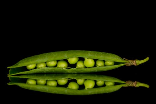 Free stock photo of green peas