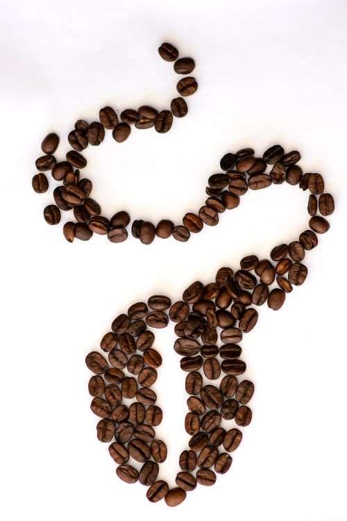 Free stock photo of coffee beans Stock Photo