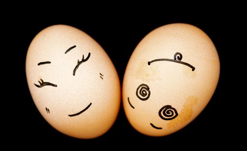 Free stock photo of eggs Stock Photo